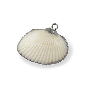 Schelp hangers specials Sint Jacobsschelp White-silver