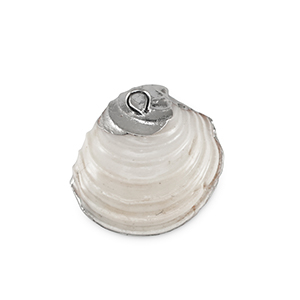Schelp hangers specials Mossel Creamy white-silver