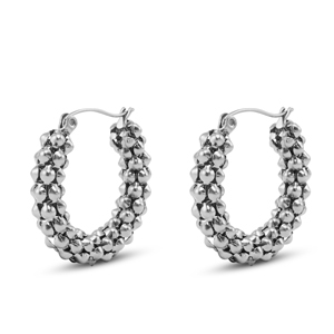 Roestvrij stalen (RVS) Stainless steel oorbellen / oorstekers Silver