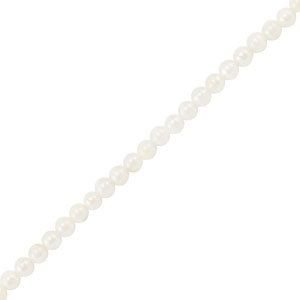 Schelp kralen rond White