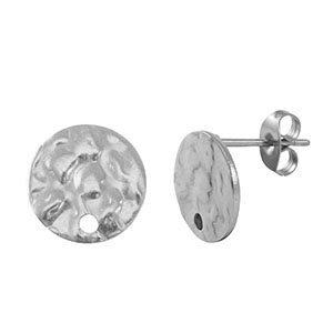 Roestvrij stalen (RVS) Stainless steel oorbellen / oorstekers Silver
