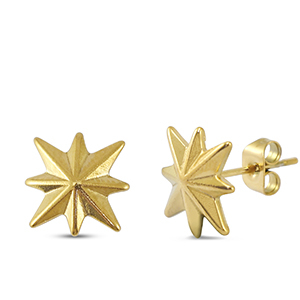 Roestvrij stalen (RVS) Stainless steel oorbellen / oorstekers ster Gold
