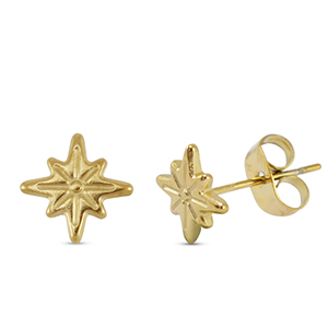 Roestvrij stalen (RVS) Stainless steel oorbellen / oorstekers ster Gold