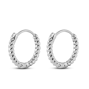 Roestvrij stalen (RVS) Stainless steel oorbellen creolen Silver