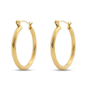 Roestvrij stalen (RVS) Stainless steel oorbellen creolen Gold