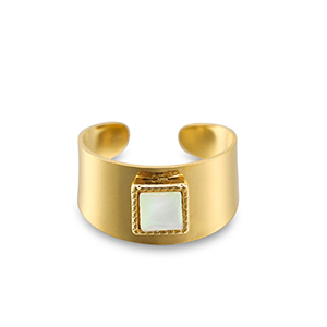 Roestvrij stalen (RVS) Stainless steel ringen vierkant Gold-white