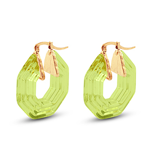 Trendy resin oorbellen hexagon Gold-transparent green