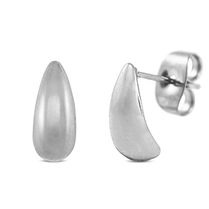Roestvrij stalen (RVS) stainless steel oorbellen / oorstekers Silver