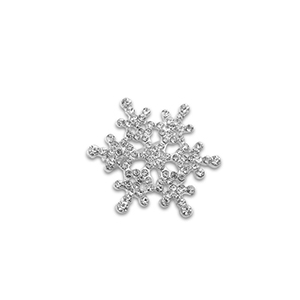 Broches sneeuwvlok Silver