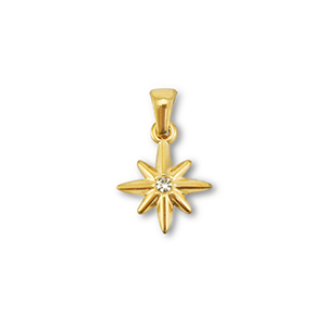 Roestvrij stalen (RVS) Stainless steel hangers ster Gold