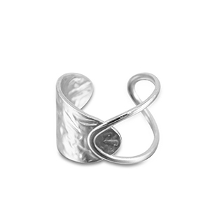 Roestvrij stalen (RVS) Stainless steel ringen Silver
