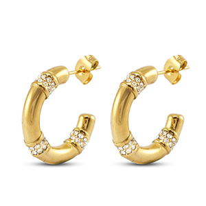 Roestvrij stalen (RVS) Stainless steel oorbellen / oorstekers Gold
