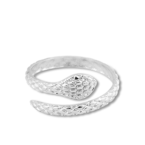 Roestvrij stalen (RVS) Stainless steel ringen slang Silver