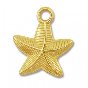 Roestvrij stalen (RVS) Stainless steel bedels zeester Gold