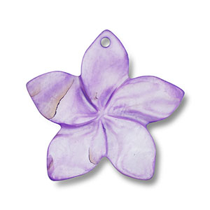 Schelp hanger bloem Purple