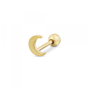 Roestvrij stalen (RVS) Stainless steel oorpiercing maan Gold