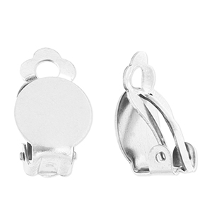 Roestvrij stalen (RVS) Stainless steel onderdelen clipoorbellen Silver