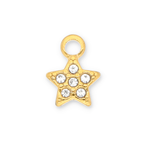 Roestvrij stalen (RVS) Stainless steel bedels ster met strass Gold-transparent