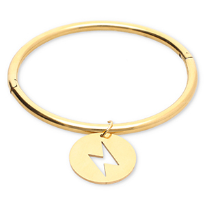 Roestvrij stalen (RVS) Stainless steel armbanden bliksem Gold