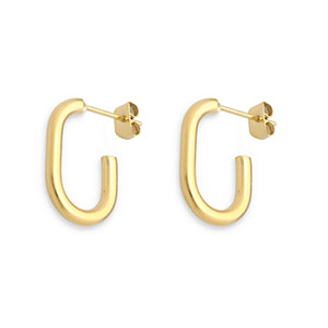 Roestvrij stalen (RVS) Stainless steel oorbellen / oorstekers Gold