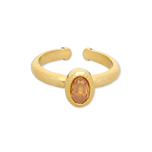 Roestvrij stalen (RVS) Stainless steel ringen Gold-light orange