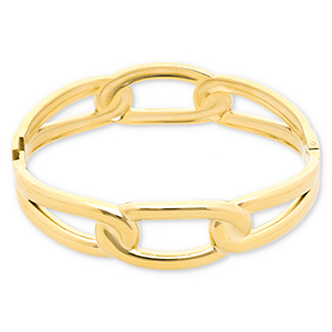 Roestvrij stalen (RVS) Stainless steel armbanden Gold
