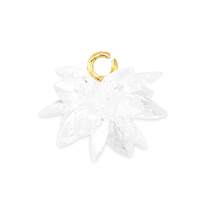 Zirkonia bedels bloem Transparent