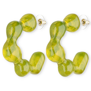 Trendy resin oorbellen&nbsp;/&nbsp;oorstekers Multicolour green