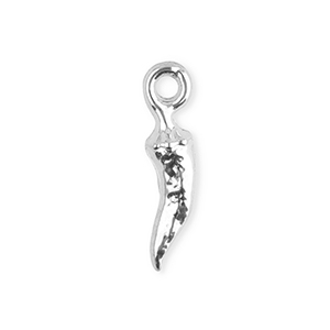 Roestvrij stalen (RVS) Stainless steel bedels chili peper Silver