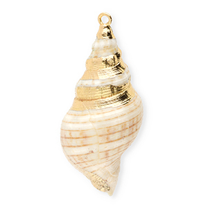 Schelp hangers specials wulk Beige-gold