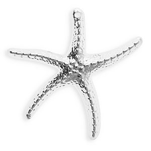 Acryl hangers zeester Silver
