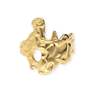 Roestvrij stalen (RVS) Stainless steel ringen Gold