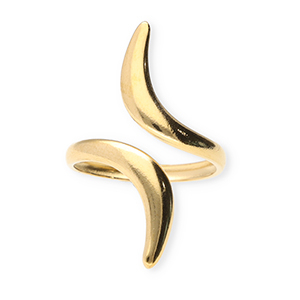 Roestvrij stalen (RVS) Stainless steel ringen Gold