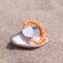 Trendy zomerse sieraden cre&euml;ren met schelp kralen, glaskralen en nog veel meer leuke items! 