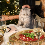 Sieraden inspiratie voor de feestdagen