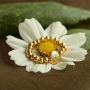 Cre&euml;er persoonlijke armbanden met Birth Flower kralen