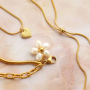 Een collectie met rvs jasseron 