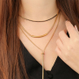 Een collectie met rvs jasseron 