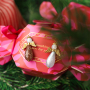 Mix & match met polaris druppels en cabochons