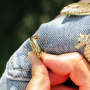 Inspiratie met opvallende sealife broches 